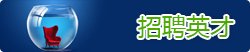 开云新人注册88元